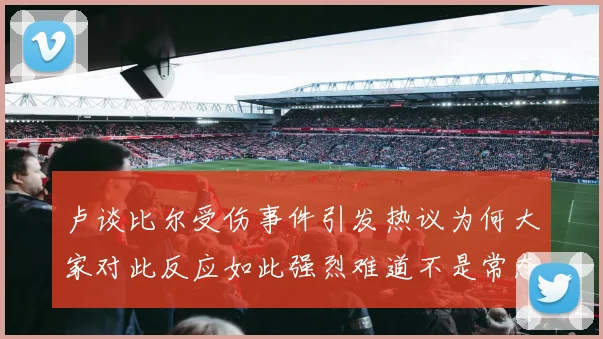 卢谈比尔受伤事件引发热议为何大家对此反应如此强烈难道不是常态吗